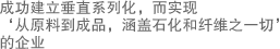 功建立垂直系列化，而实现 ‘从原料到成品，涵盖石化和纤维之一切’的企业