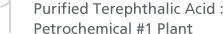 1. Purified Terephthalic Acid : Petrochemical #1 Plant