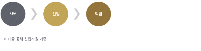 직급체계